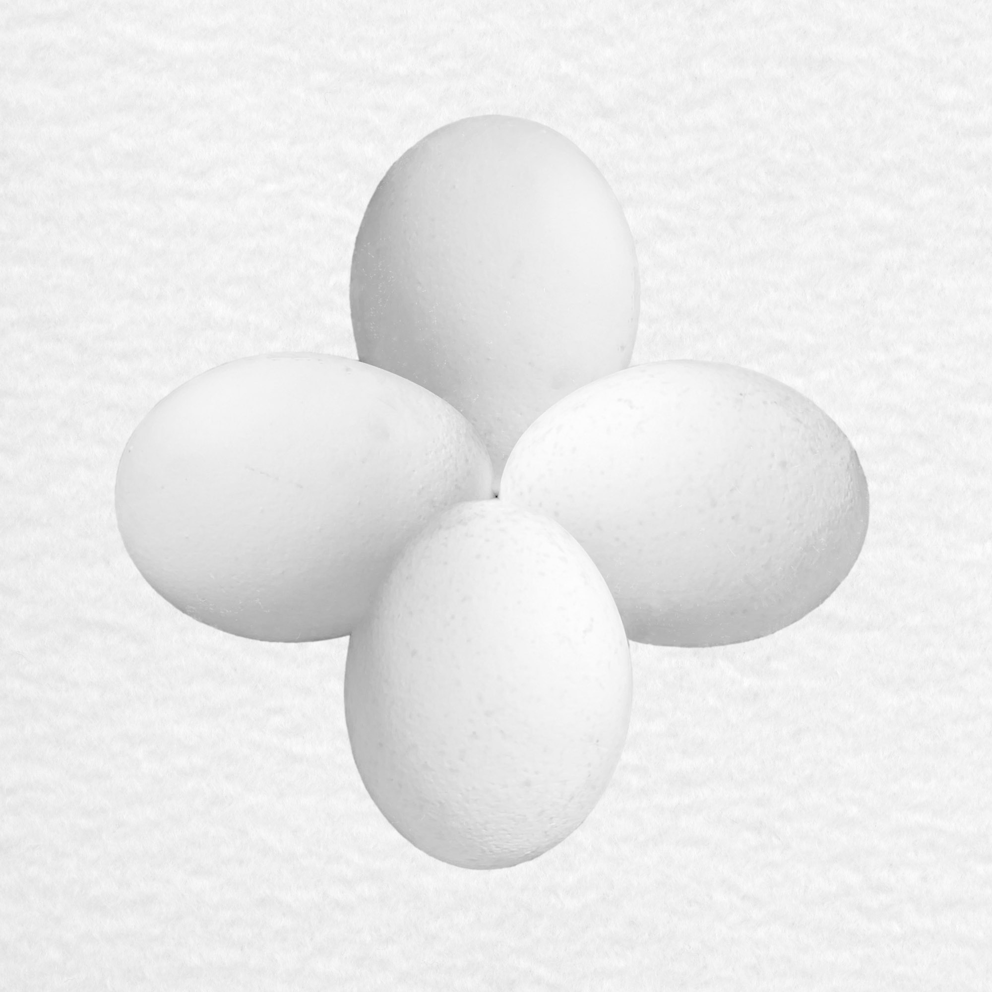 four white eggs